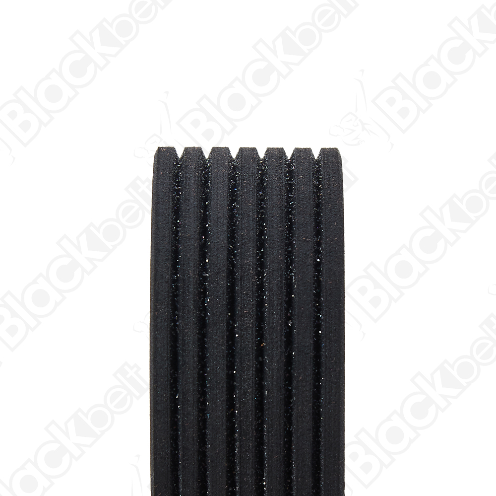 BLACKBELT SERPENTINE BELT