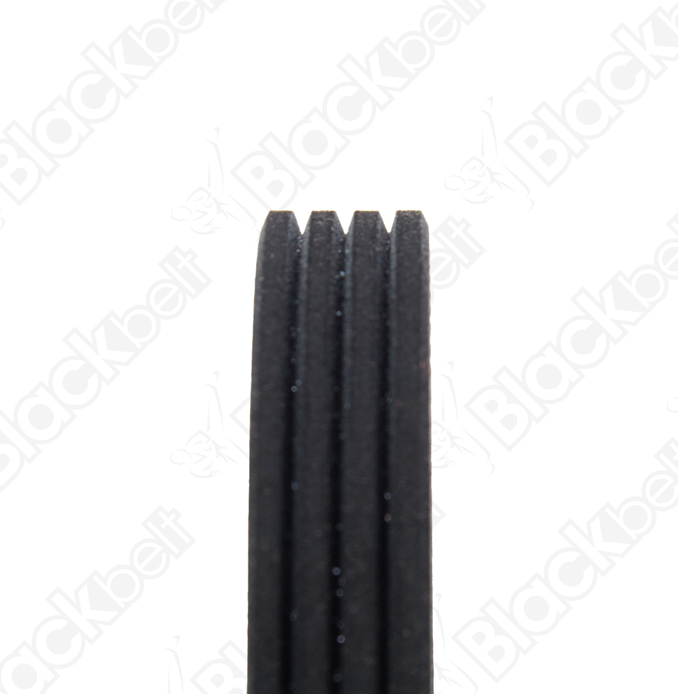 COURROIE SERPENTINE BLACK BELT - 2