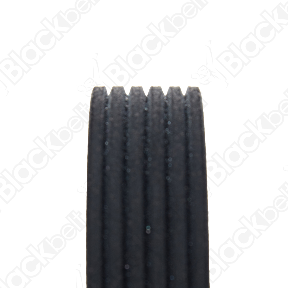 COURROIE SERPENTINE BLACK BELT - 2