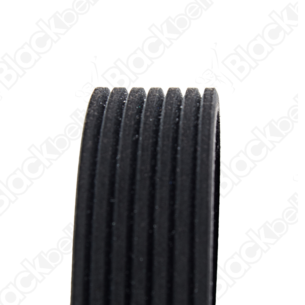 COURROIE SERPENTINE BLACK BELT