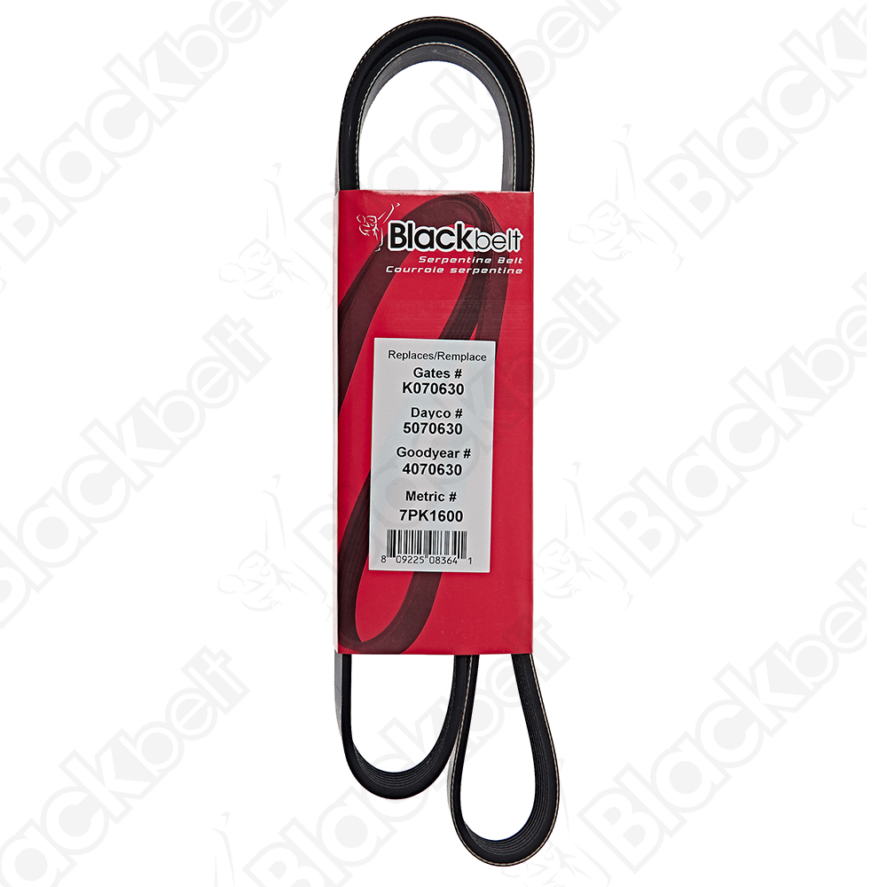 BLACKBELT SERPENTINE BELT - 2