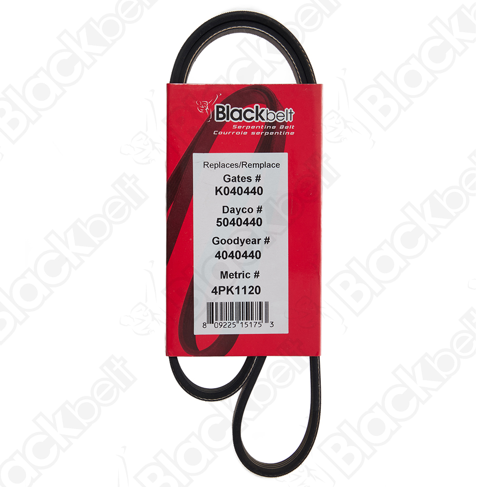 BLACKBELT SERPENTINE BELT - 2