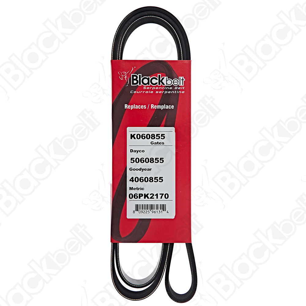 COURROIE SERPENTINE BLACK BELT