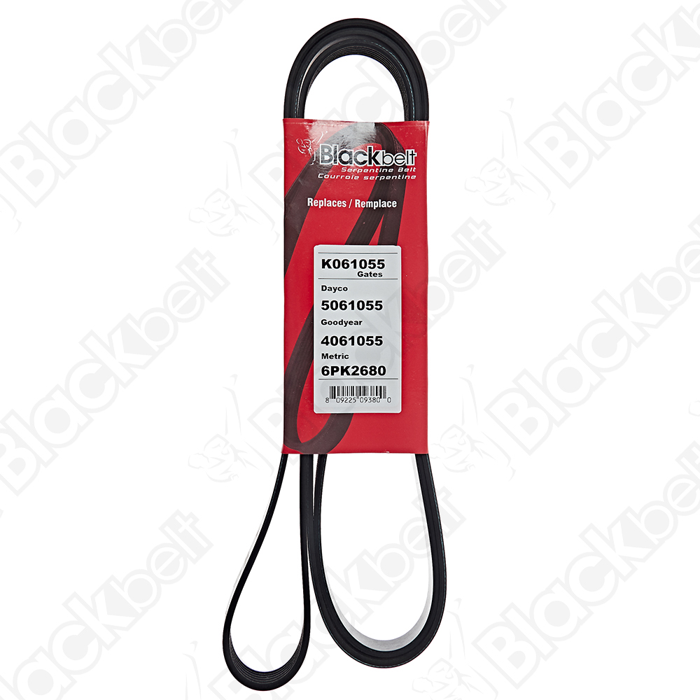 BLACKBELT SERPENTINE BELT - 2