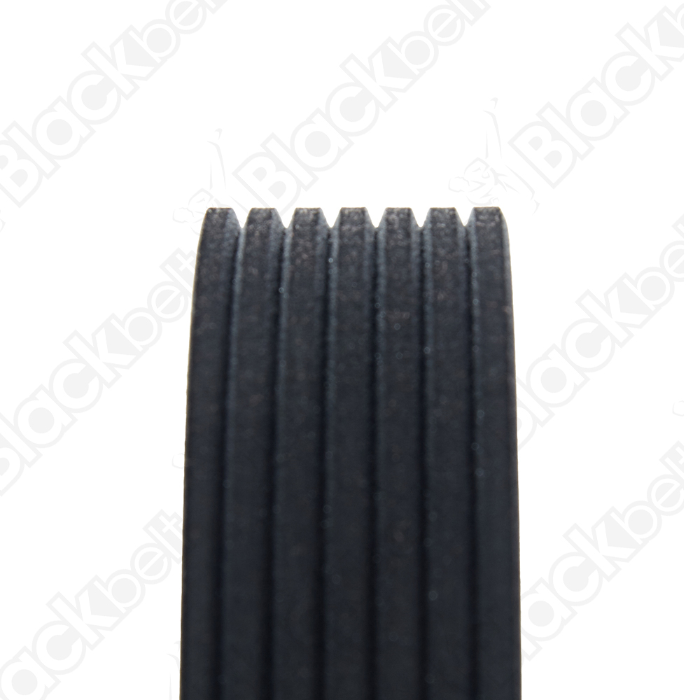 COURROIE SERPENTINE BLACK BELT - 2