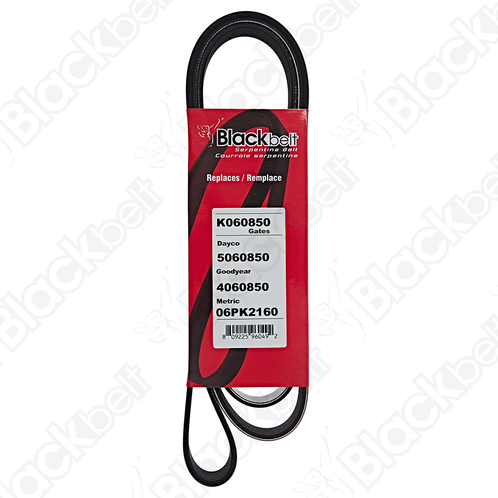 COURROIE SERPENTINE BLACK BELT - 2