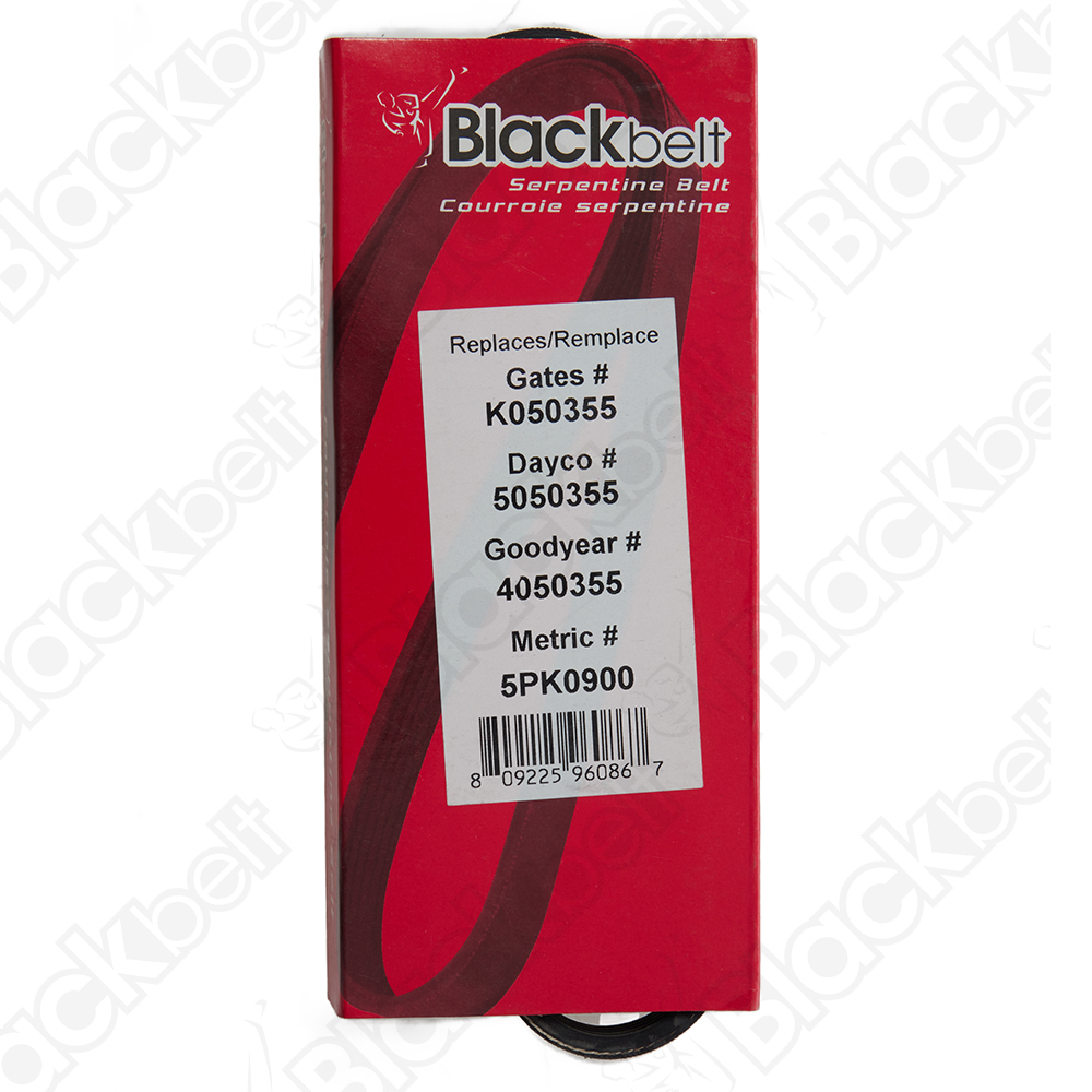BLACKBELT SERPENTINE BELT - 2