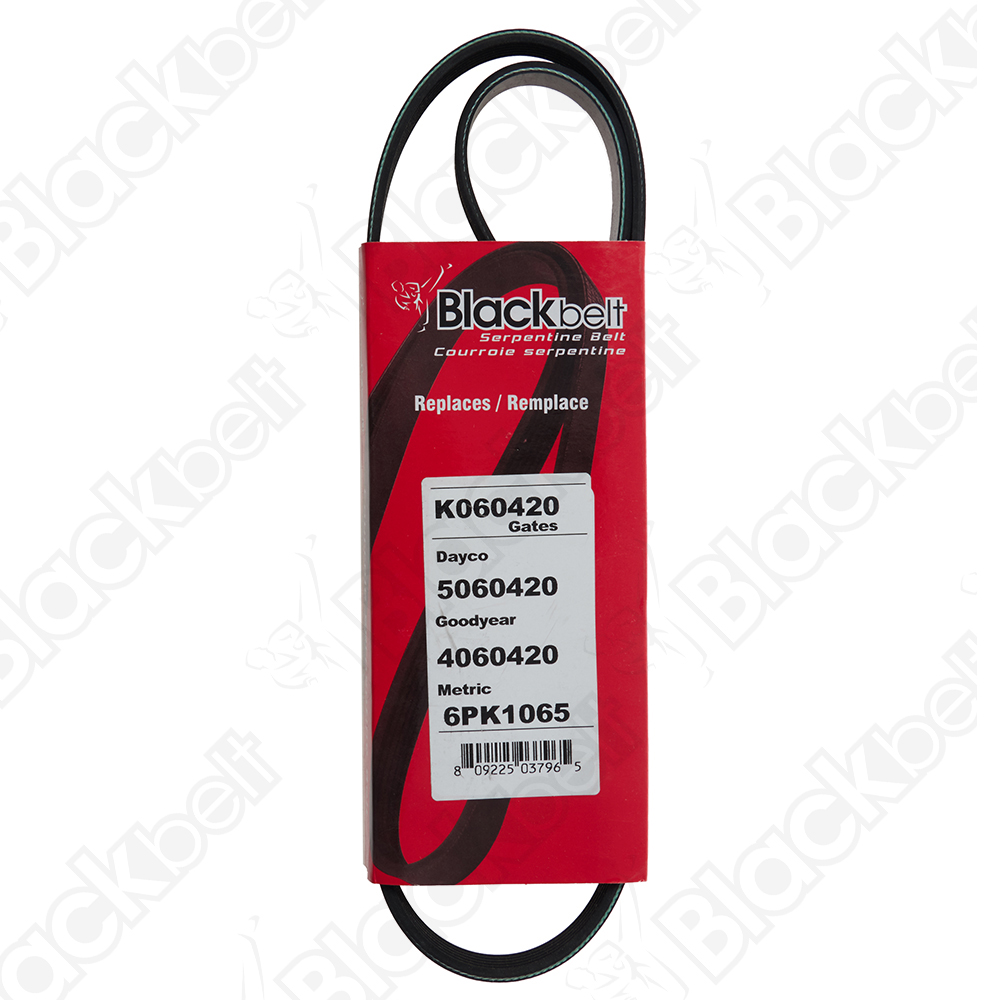 COURROIE SERPENTINE BLACK BELT - 2