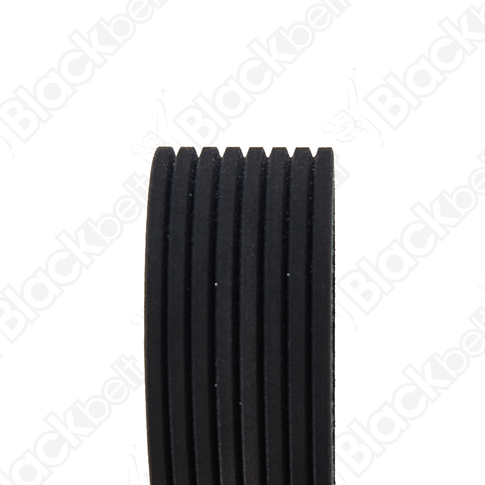 BLACKBELT SERPENTINE BELT