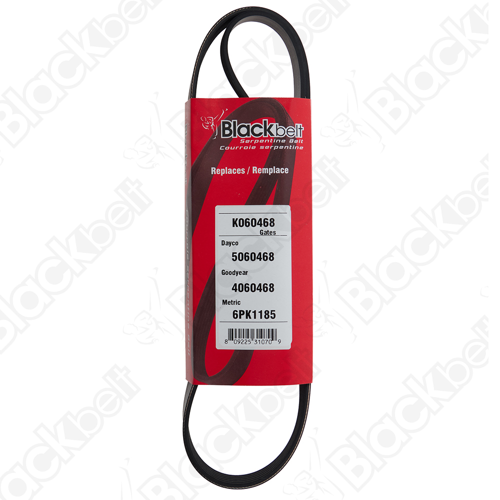 BLACKBELT SERPENTINE BELT - 2
