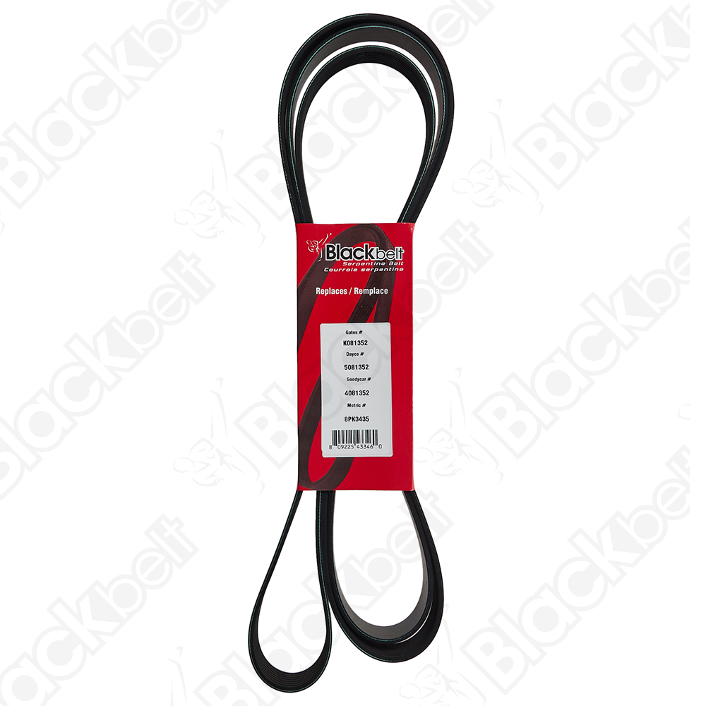 BLACKBELT SERPENTINE BELT - 2