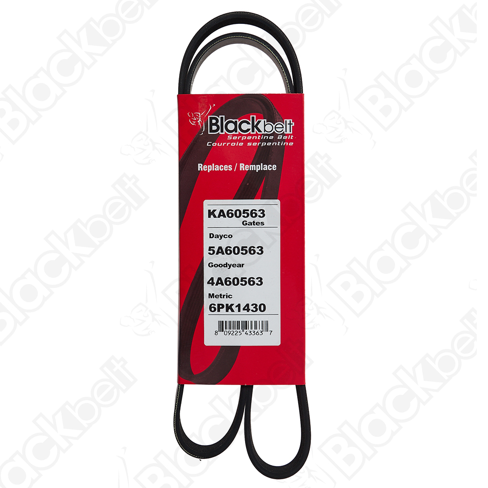 BLACKBELT SERPENTINE BELT - 2