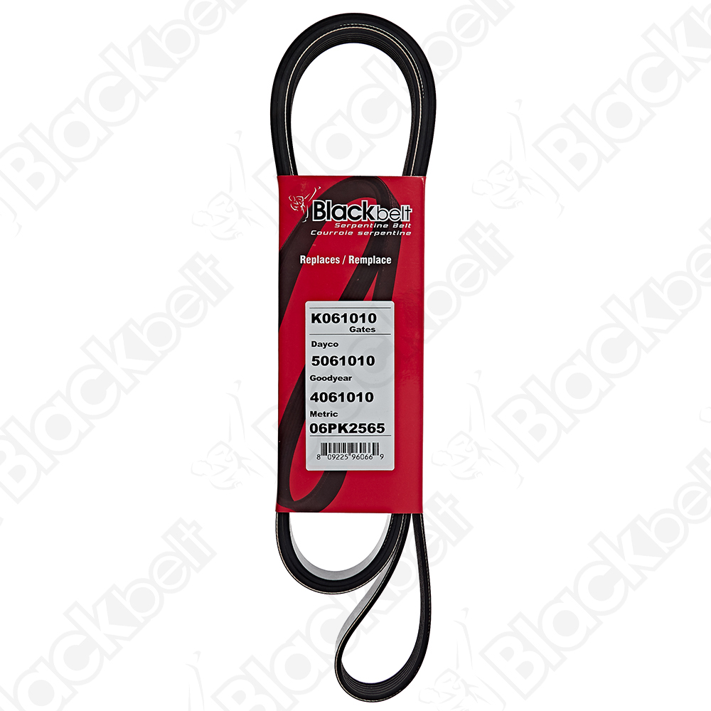 COURROIE SERPENTINE BLACK BELT - 2