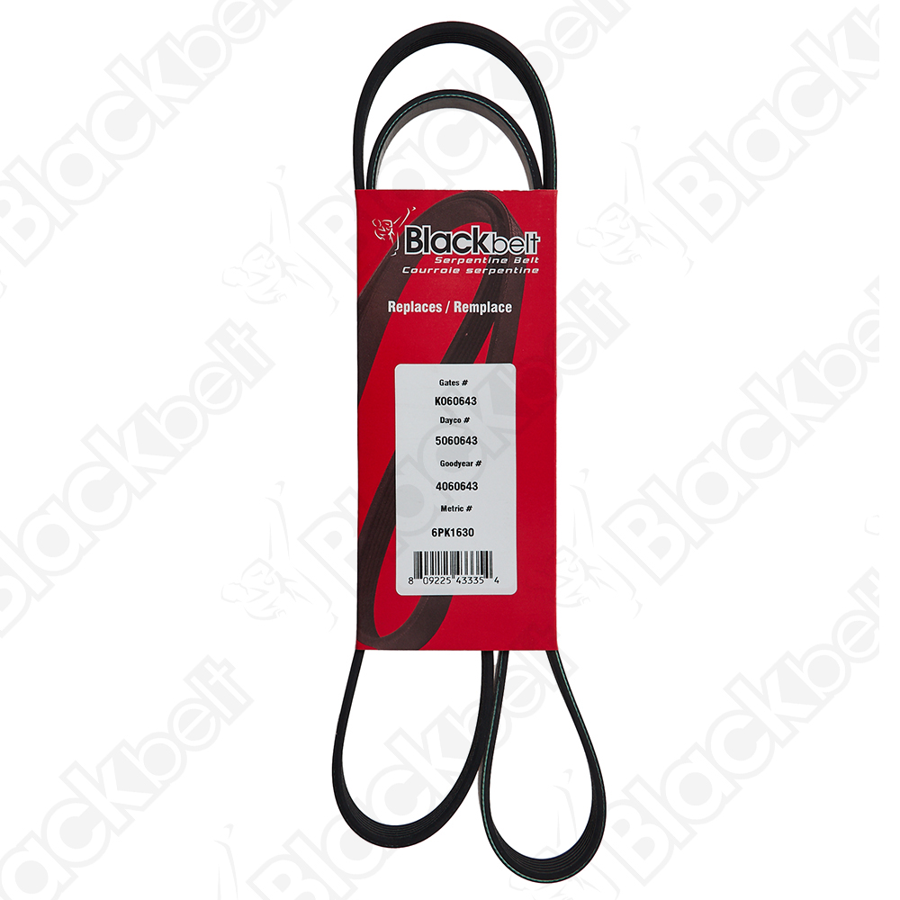 BLACKBELT SERPENTINE BELT - 2