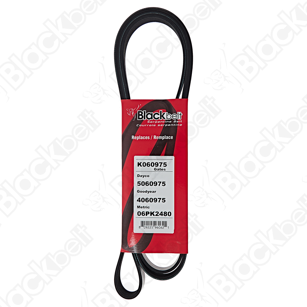 COURROIE SERPENTINE BLACK BELT - 2