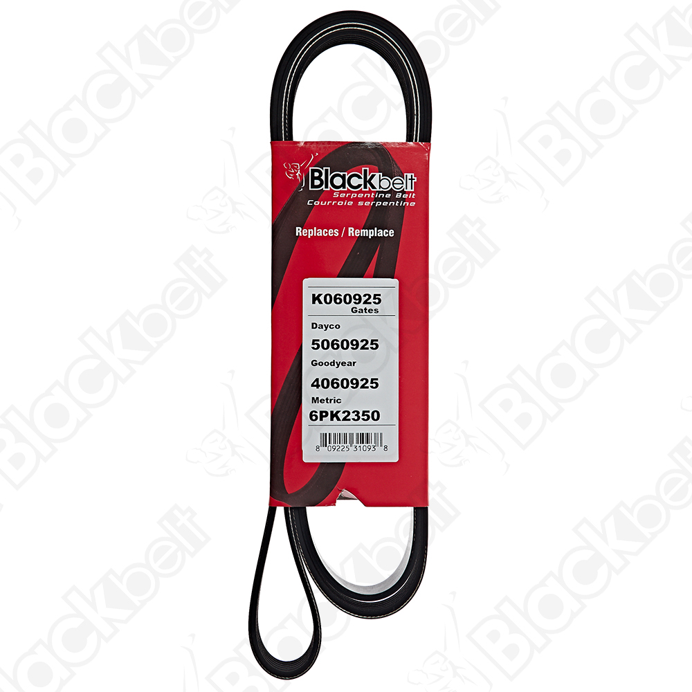 COURROIE SERPENTINE BLACK BELT - 2