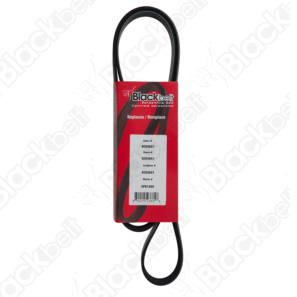 BLACKBELT SERPENTINE BELT - 2