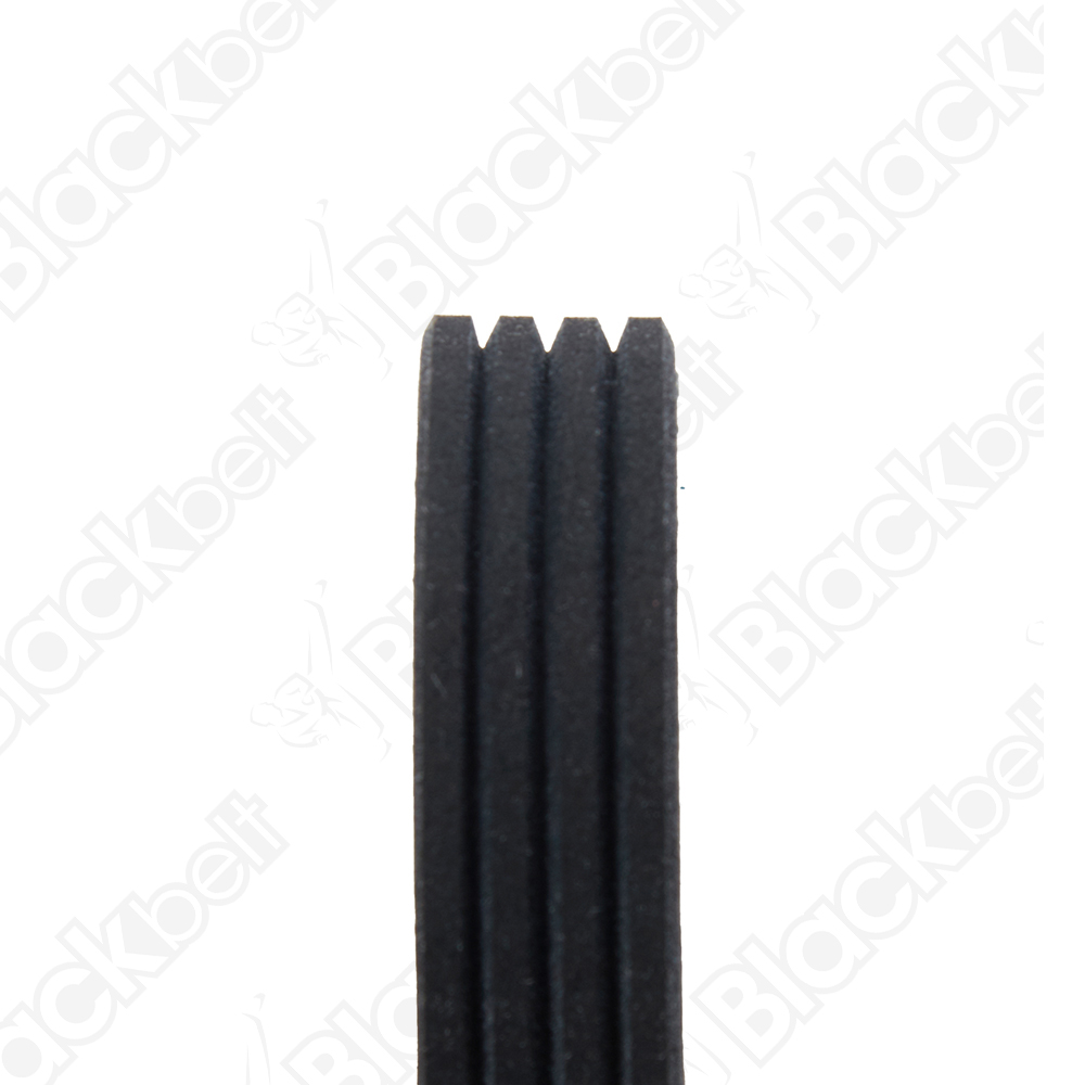COURROIE SERPENTINE BLACK BELT