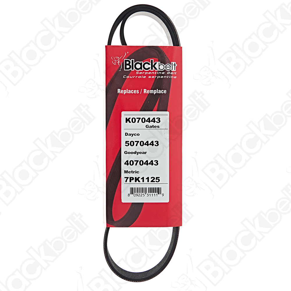 BLACKBELT SERPENTINE BELT - 2