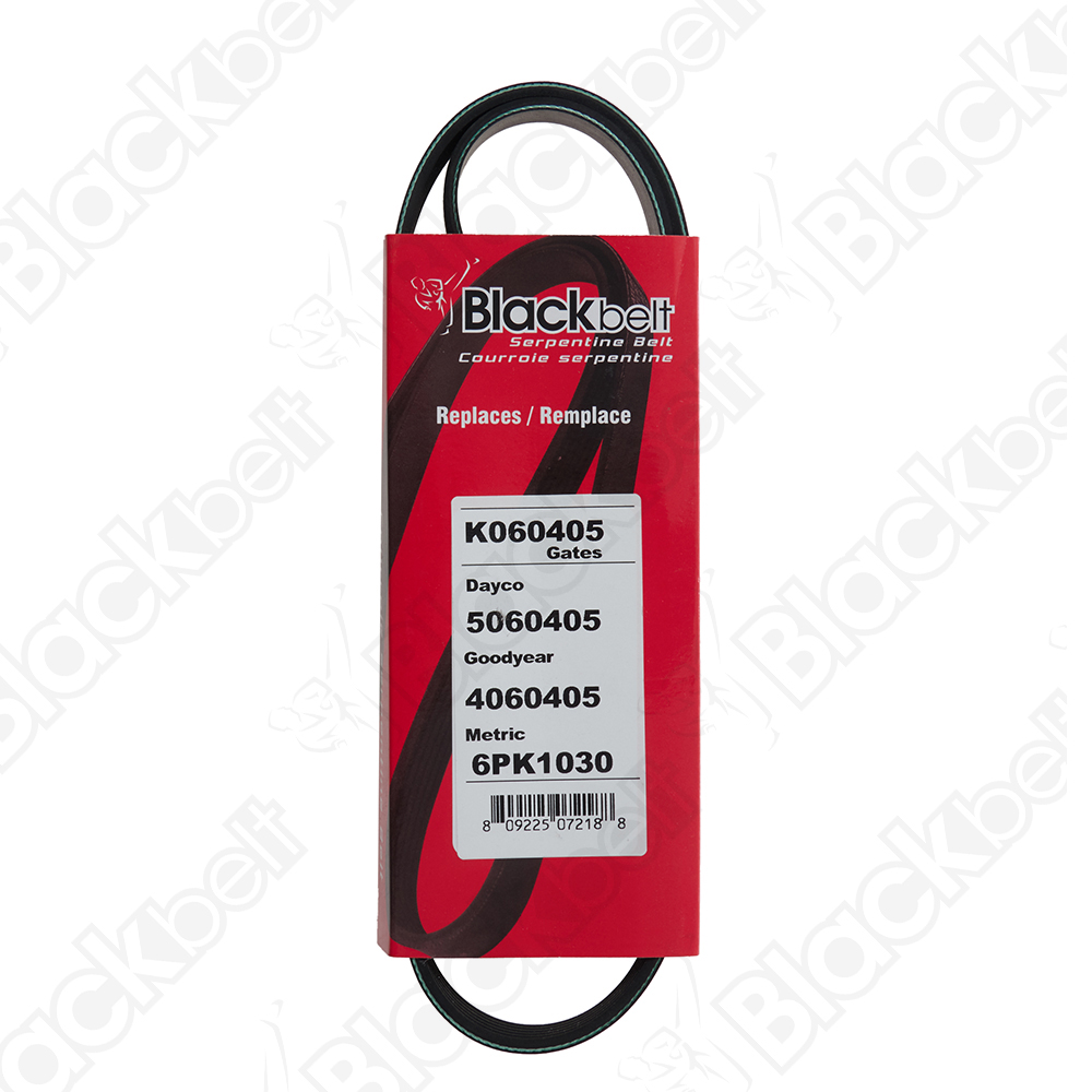 BLACKBELT SERPENTINE BELT - 2