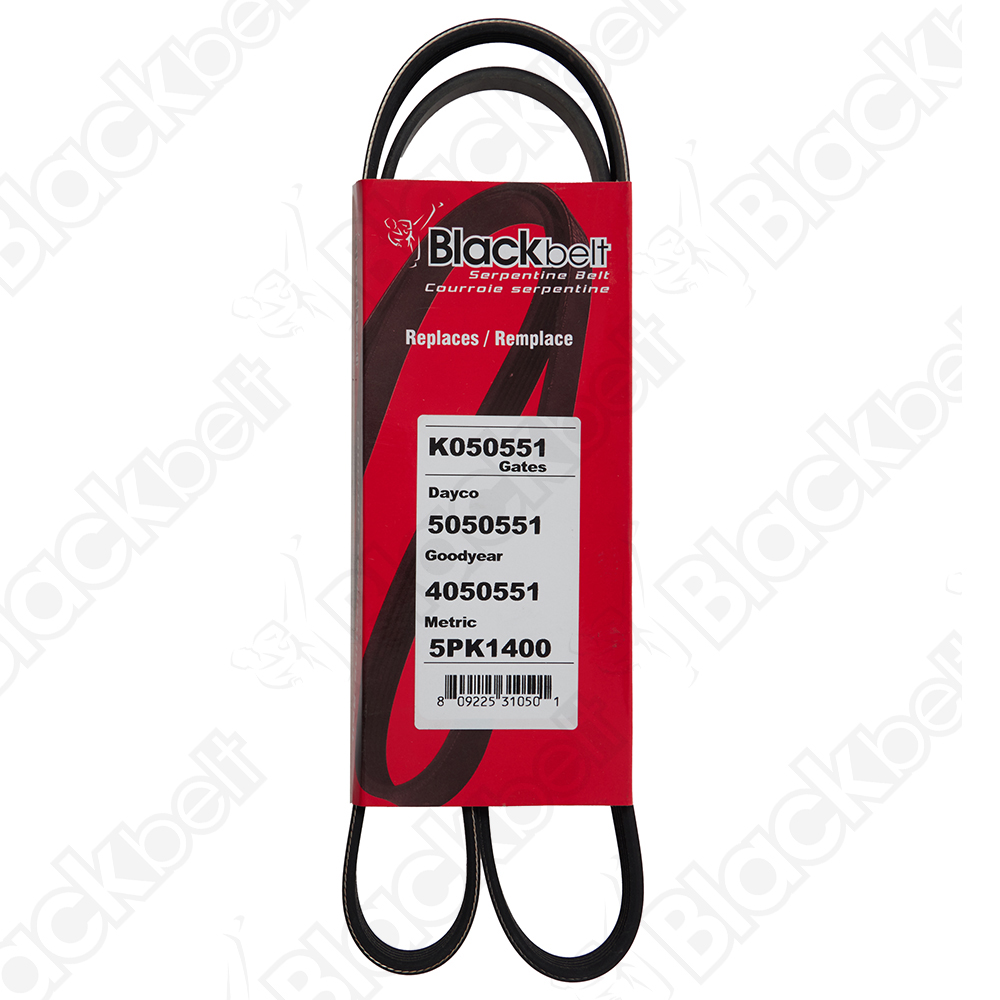 COURROIE SERPENTINE BLACK BELT - 2