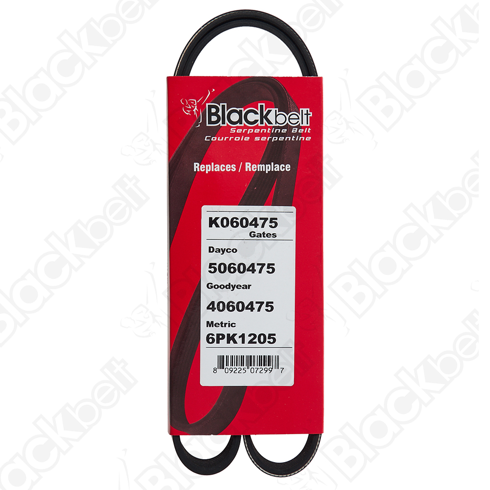 BLACKBELT SERPENTINE BELT - 2