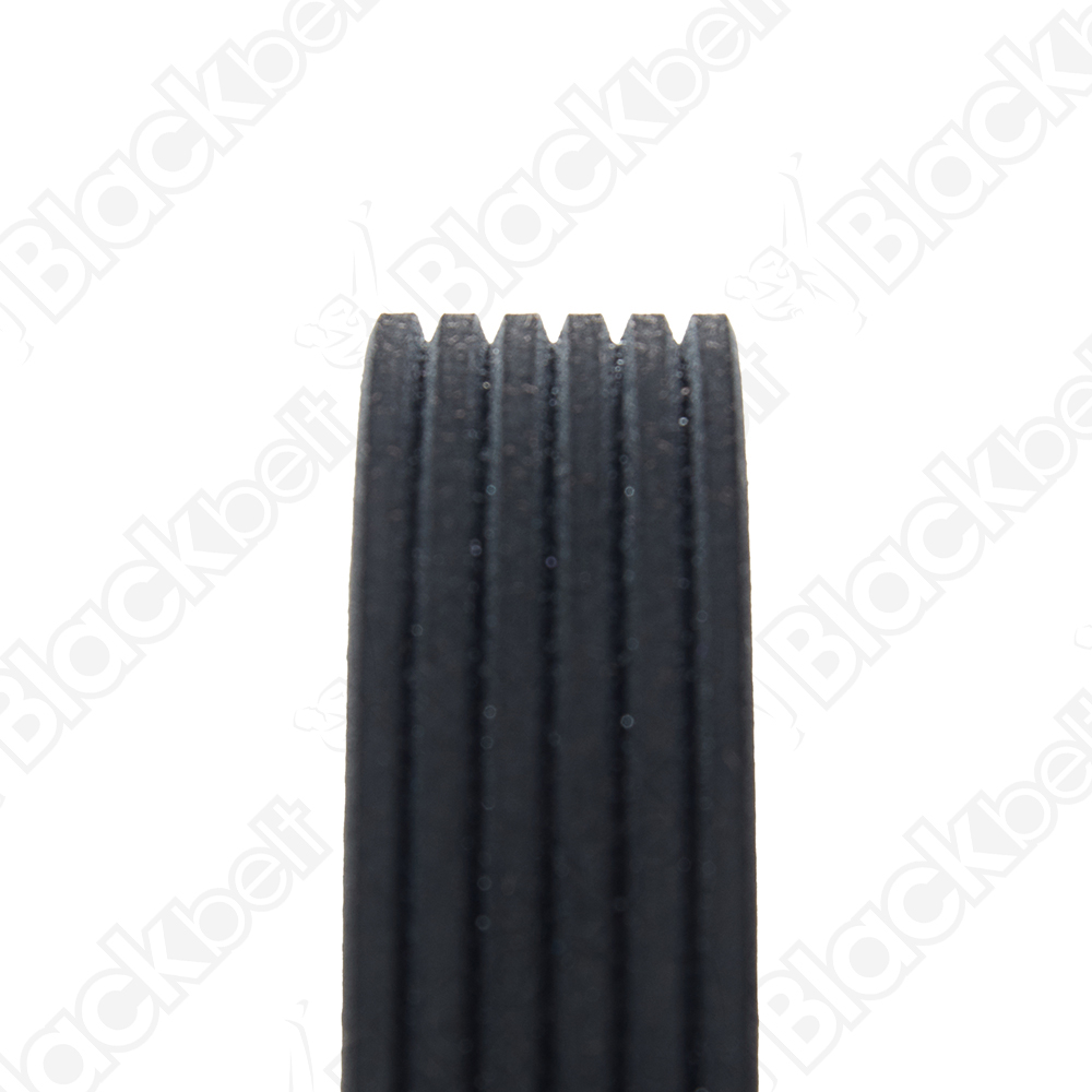 COURROIE SERPENTINE BLACK BELT - 2