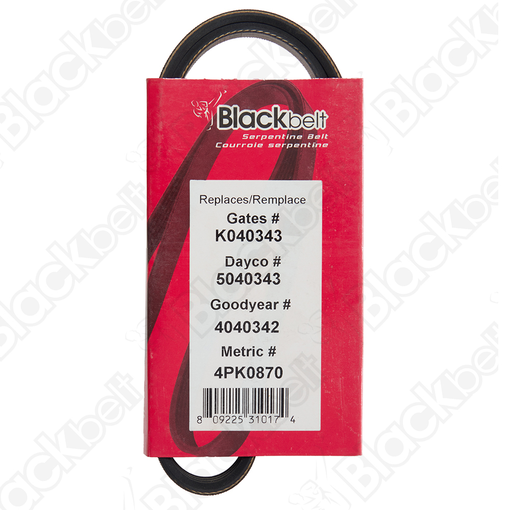 COURROIE SERPENTINE BLACK BELT - 2