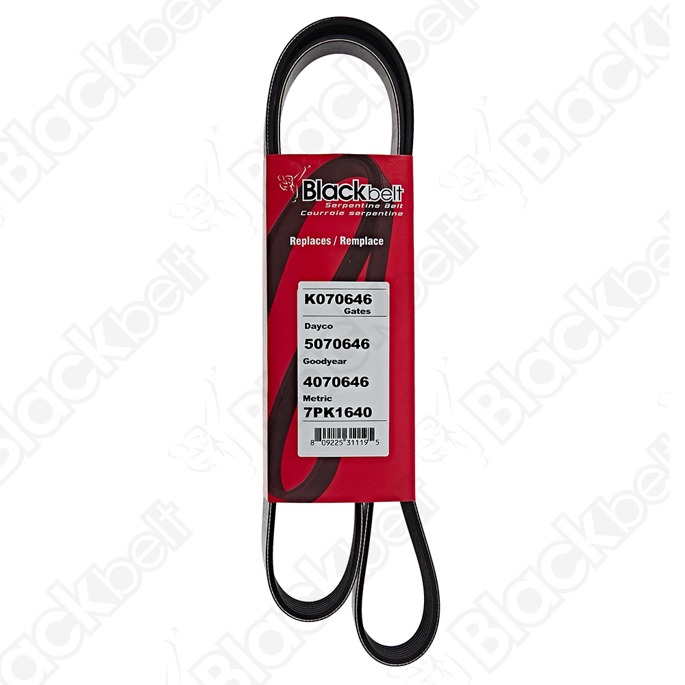 COURROIE SERPENTINE BLACK BELT - 2