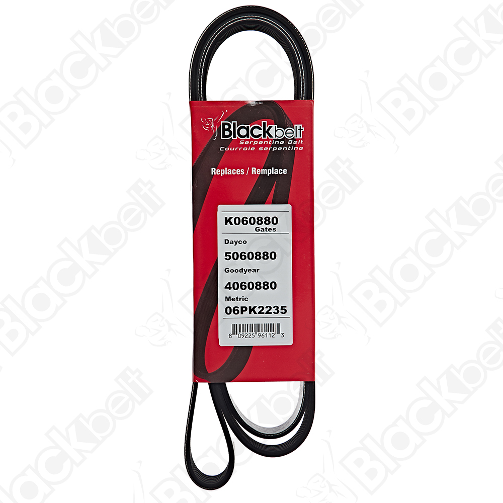 BLACKBELT SERPENTINE BELT - 2