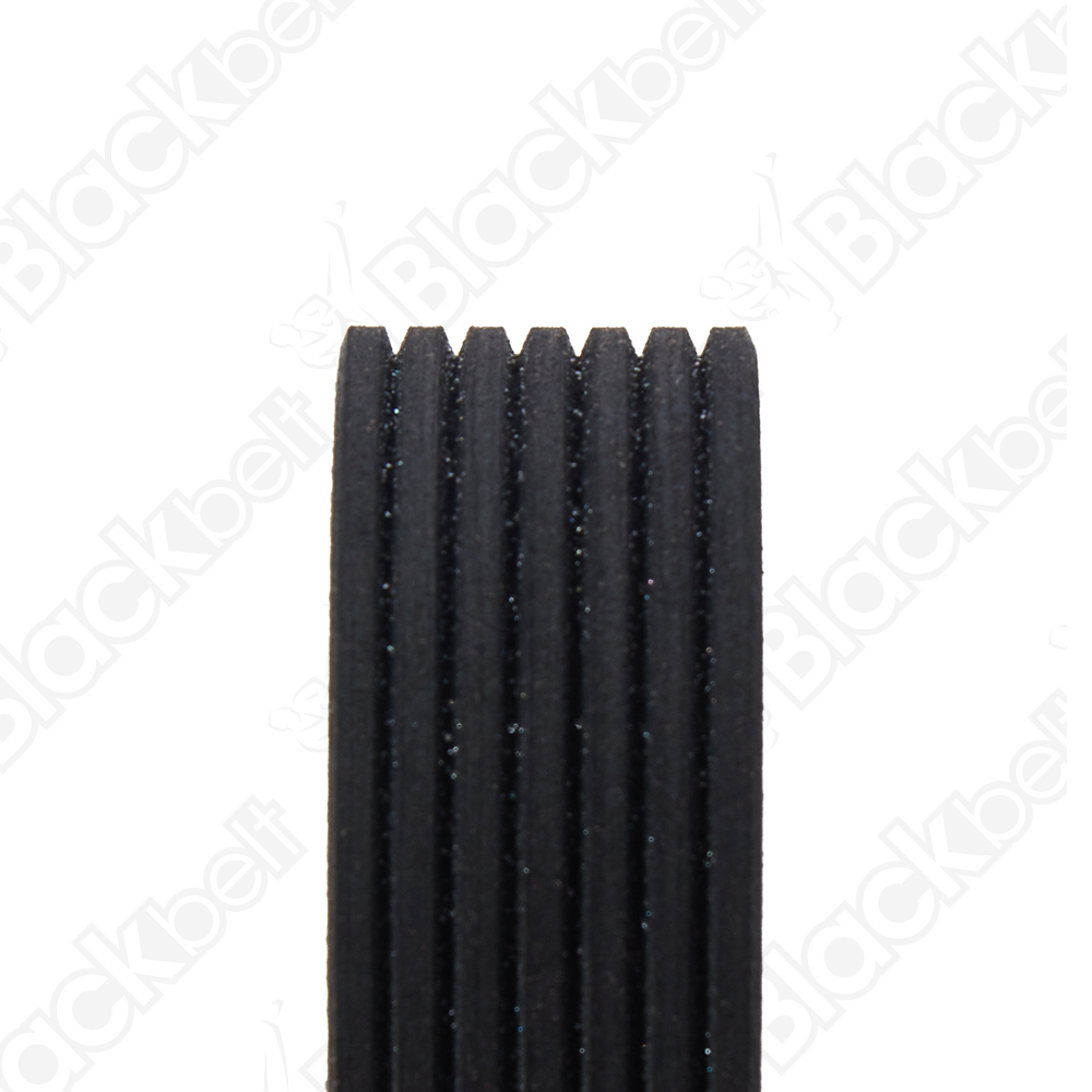 BLACKBELT SERPENTINE BELT - 2