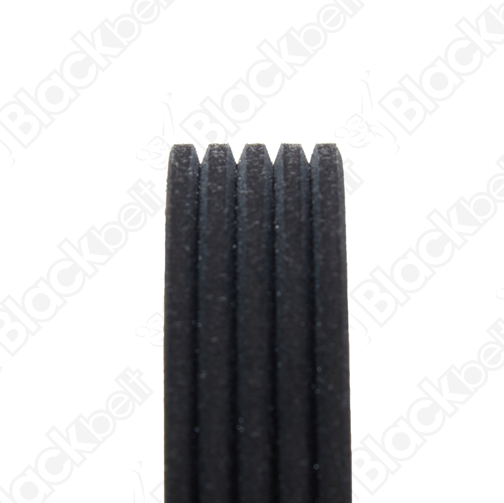 COURROIE SERPENTINE BLACK BELT