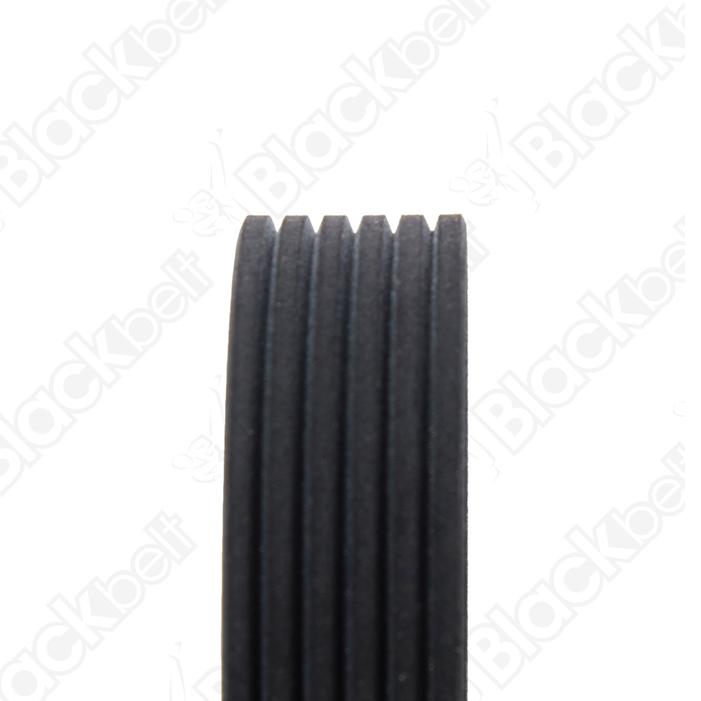 BLACKBELT SERPENTINE BELT - 2