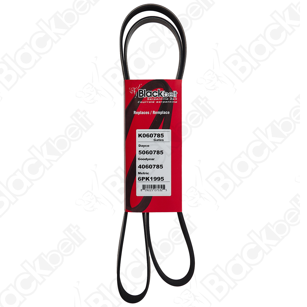 BLACKBELT SERPENTINE BELT - 2