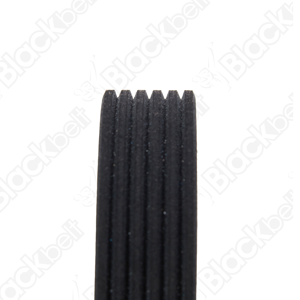 COURROIE SERPENTINE BLACK BELT - 2