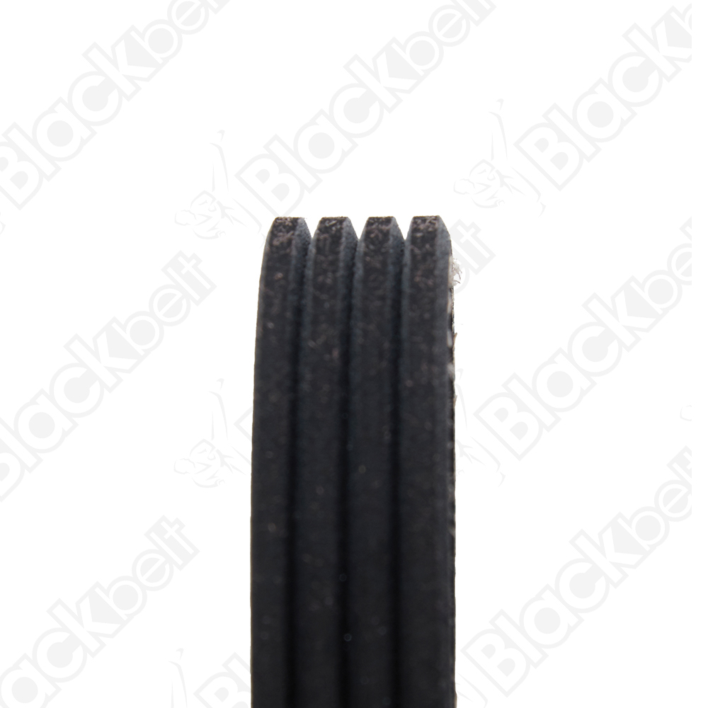 BLACKBELT SERPENTINE BELT - 2