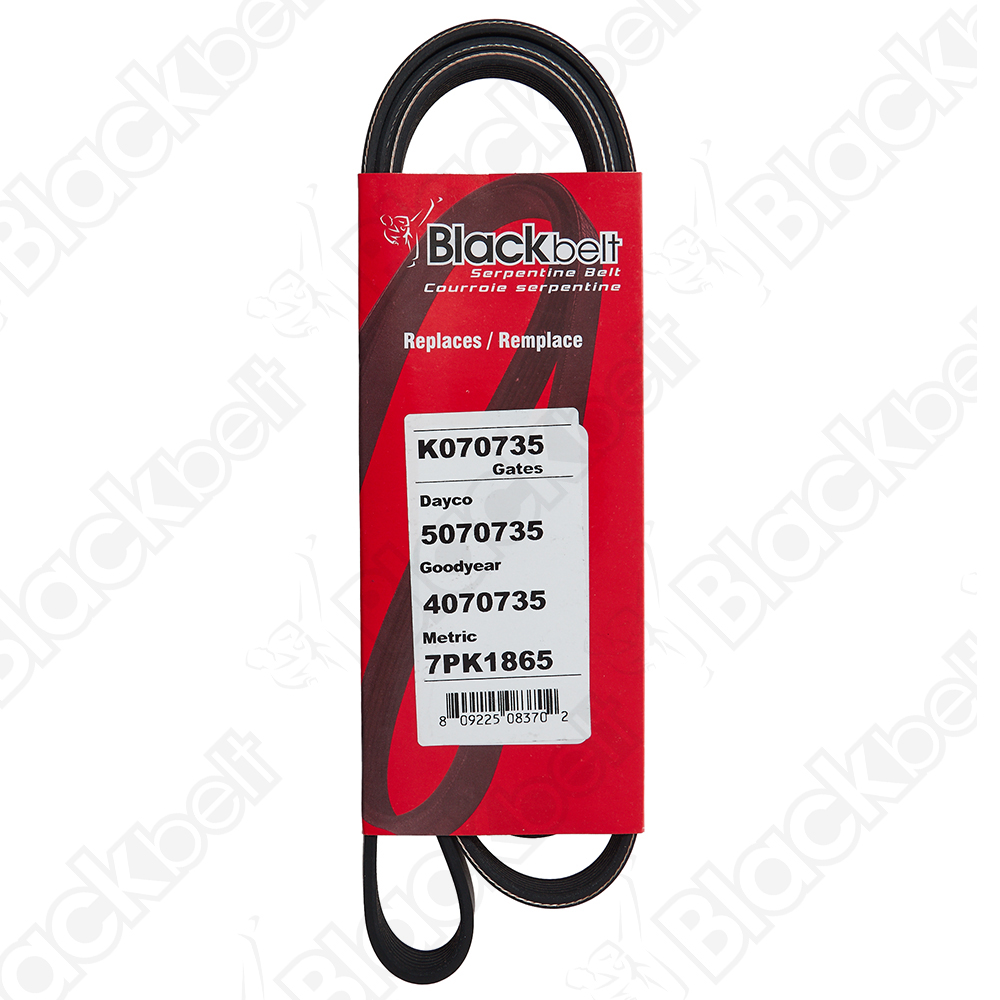 BLACKBELT SERPENTINE BELT - 2