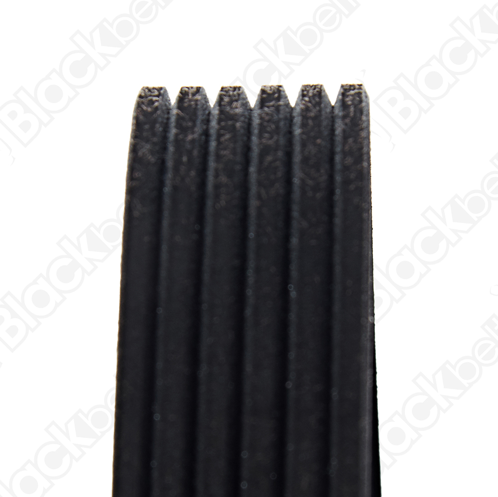 COURROIE SERPENTINE BLACK BELT - 2