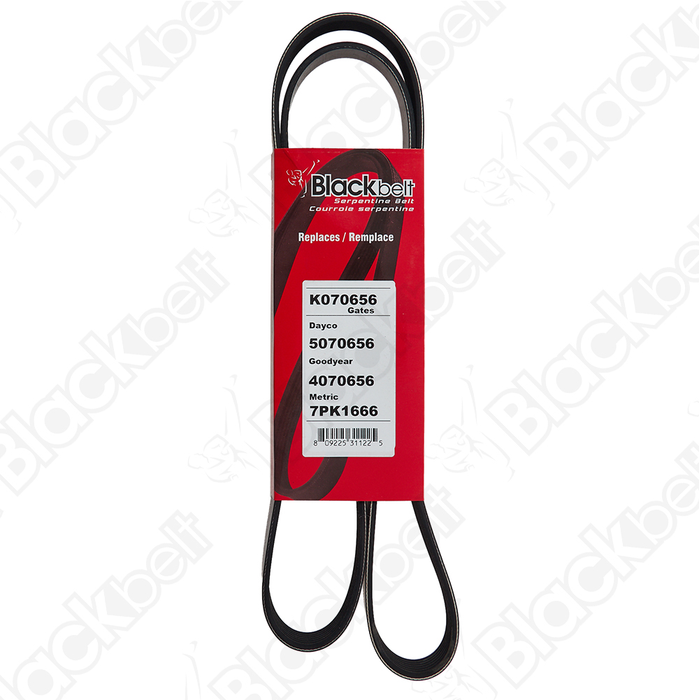 COURROIE SERPENTINE BLACK BELT - 2