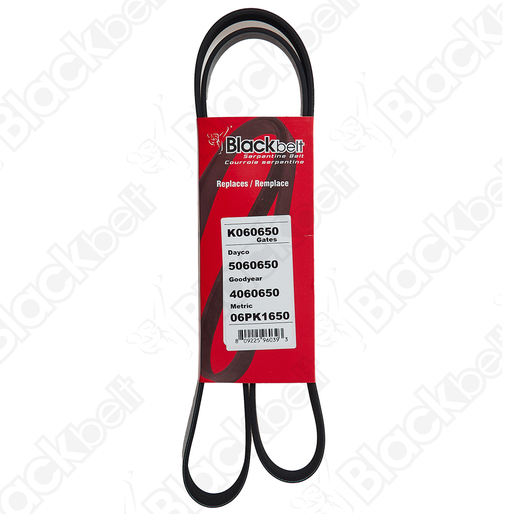 BLACKBELT SERPENTINE BELT - 2