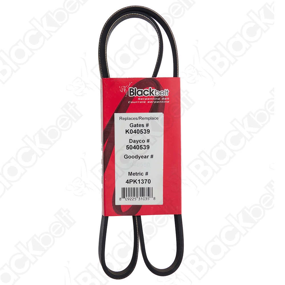 BLACKBELT SERPENTINE BELT - 2
