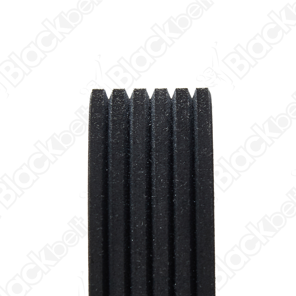 COURROIE SERPENTINE BLACK BELT - 2
