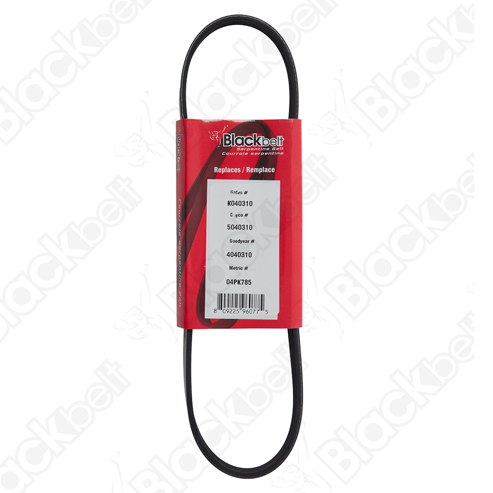 COURROIE SERPENTINE BLACK BELT - 2