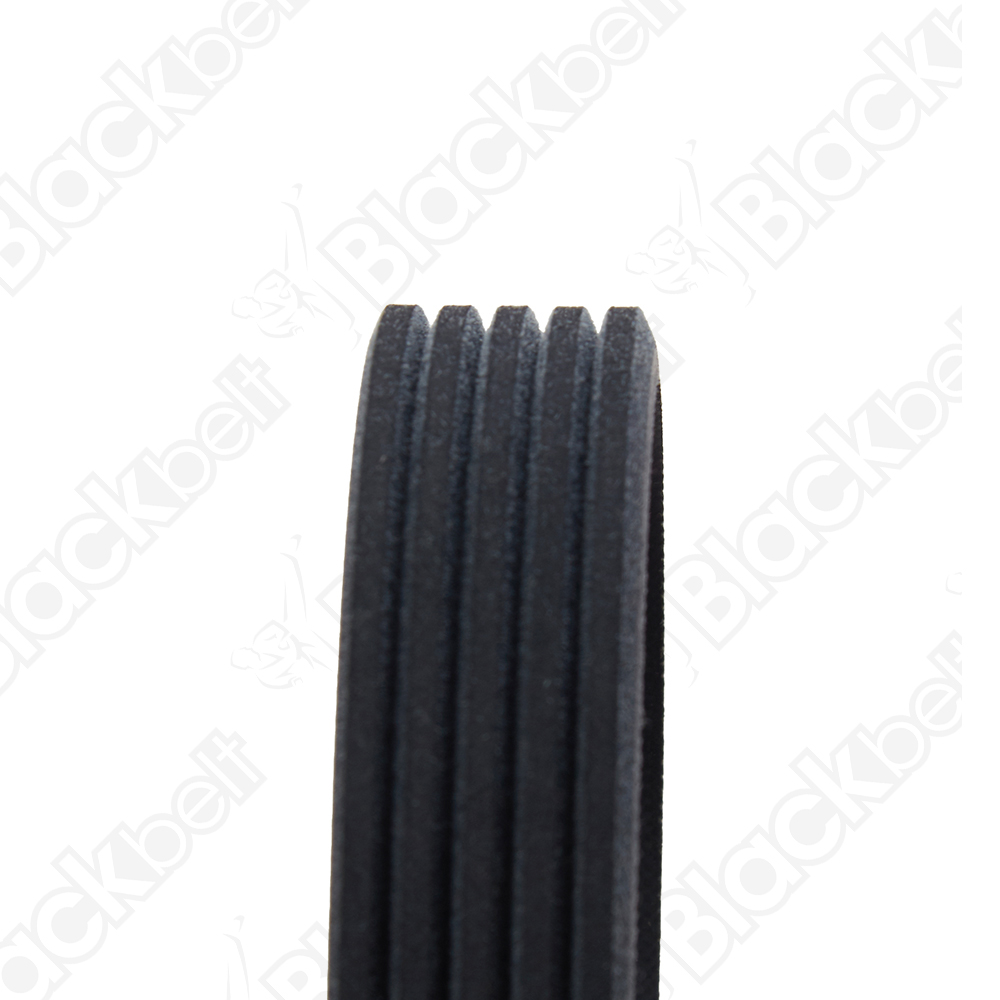 COURROIE SERPENTINE BLACK BELT - 2