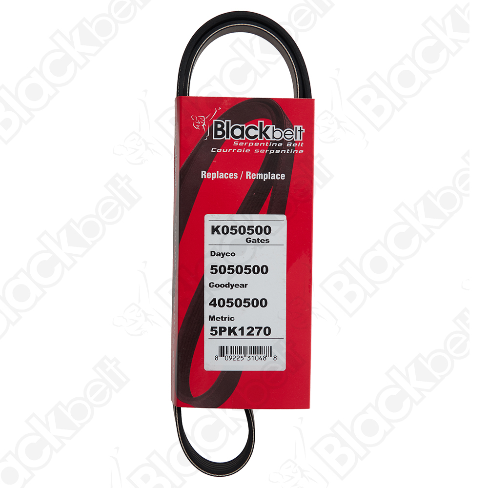 COURROIE SERPENTINE BLACK BELT - 2
