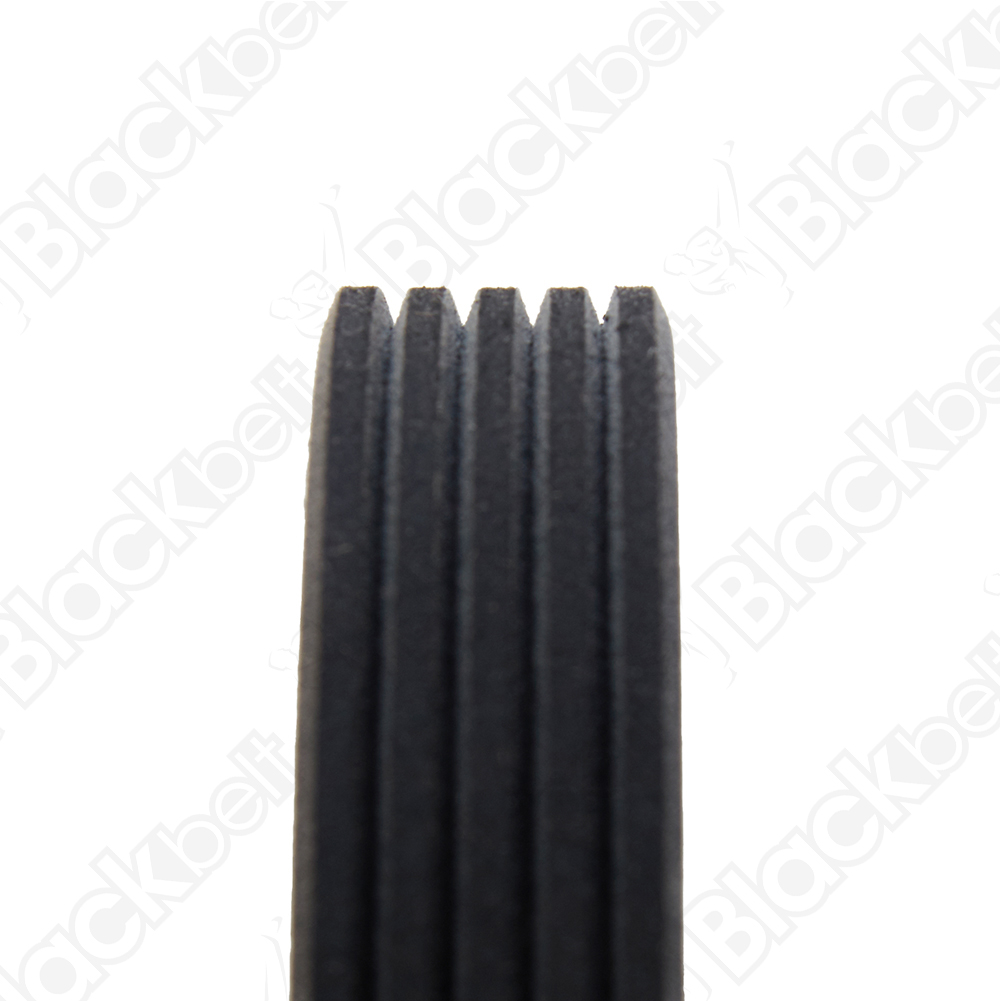 BLACKBELT SERPENTINE BELT - 2