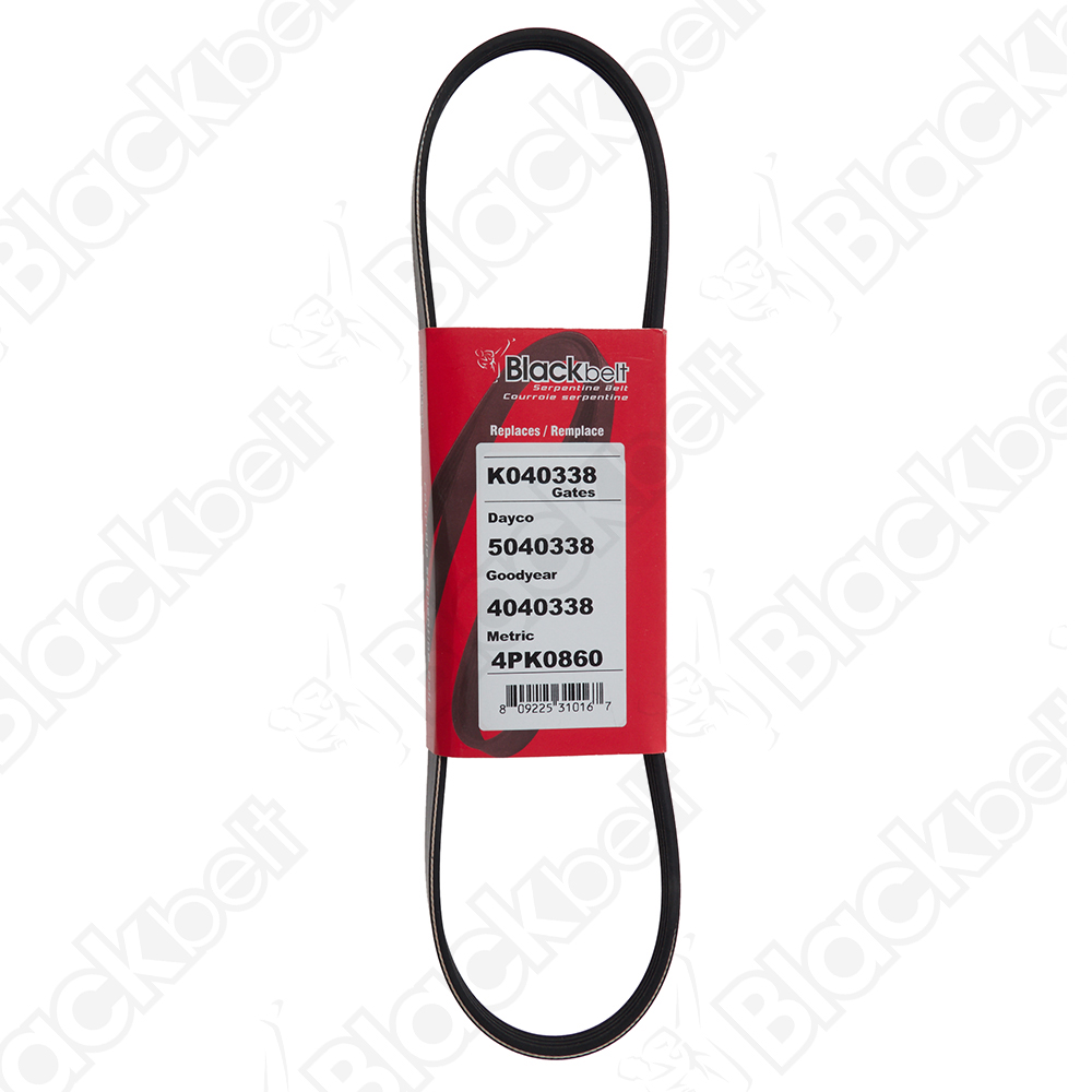 BLACKBELT SERPENTINE BELT - 2