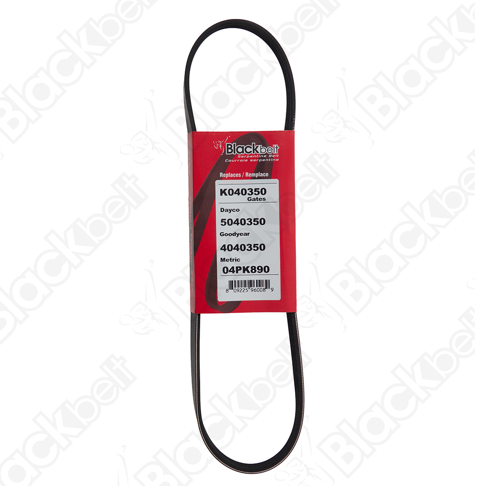 BLACKBELT SERPENTINE BELT - 2