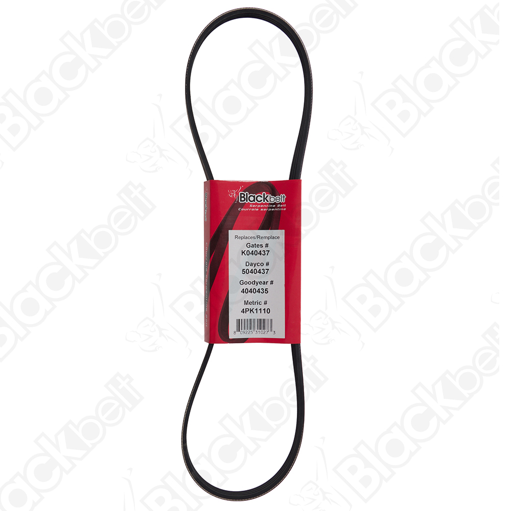 BLACKBELT SERPENTINE BELT - 2