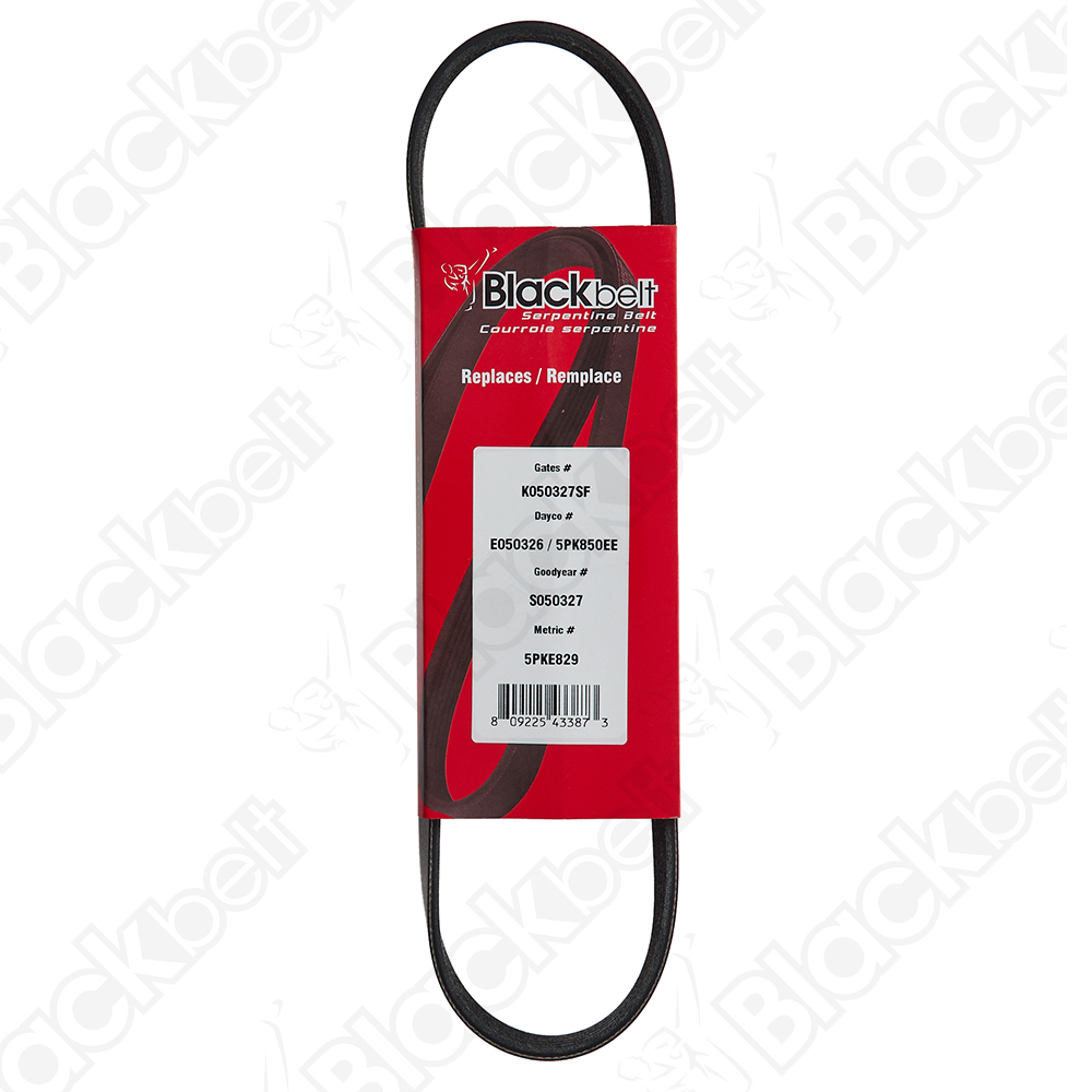 BLACKBELT ELASTIC SERP BELT - 2